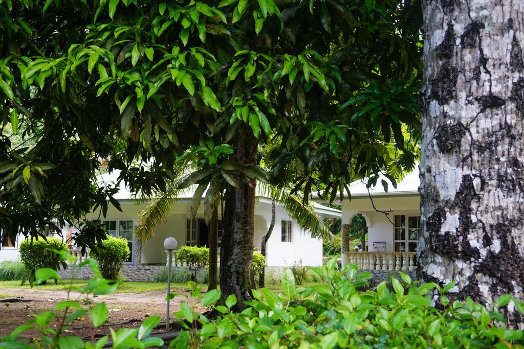 Chalet Bamboo Vert لا ديج المظهر الخارجي الصورة