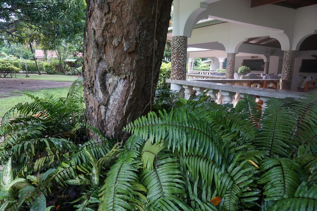 Chalet Bamboo Vert لا ديج المظهر الخارجي الصورة