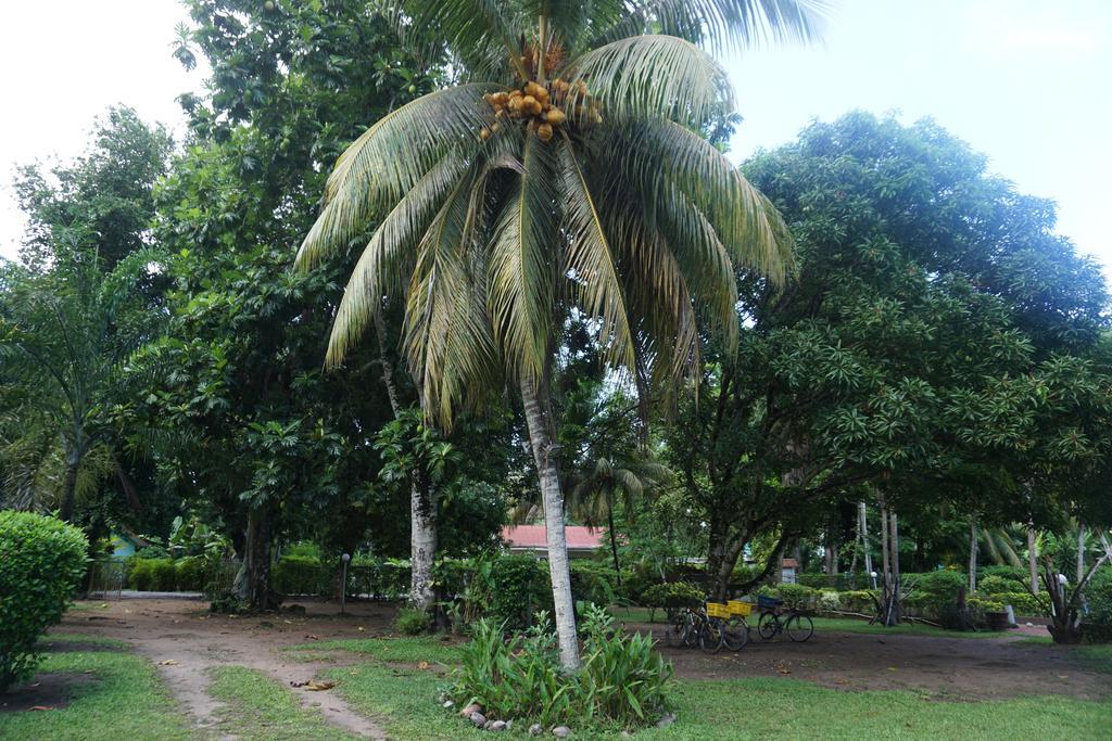 Chalet Bamboo Vert لا ديج المظهر الخارجي الصورة